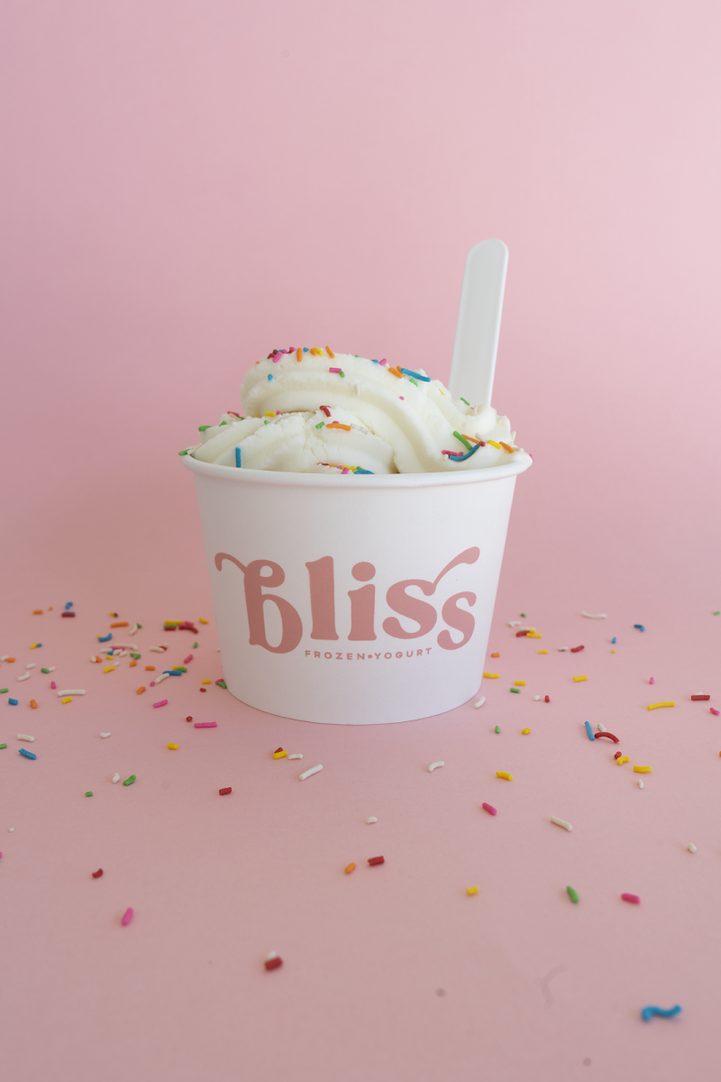 Bliss Frozen Yogurt Photos 2
